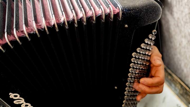 Cours d’accordéon - Bourg-la-Reine